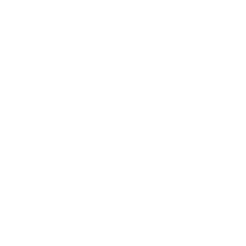 Silc-N-Statik